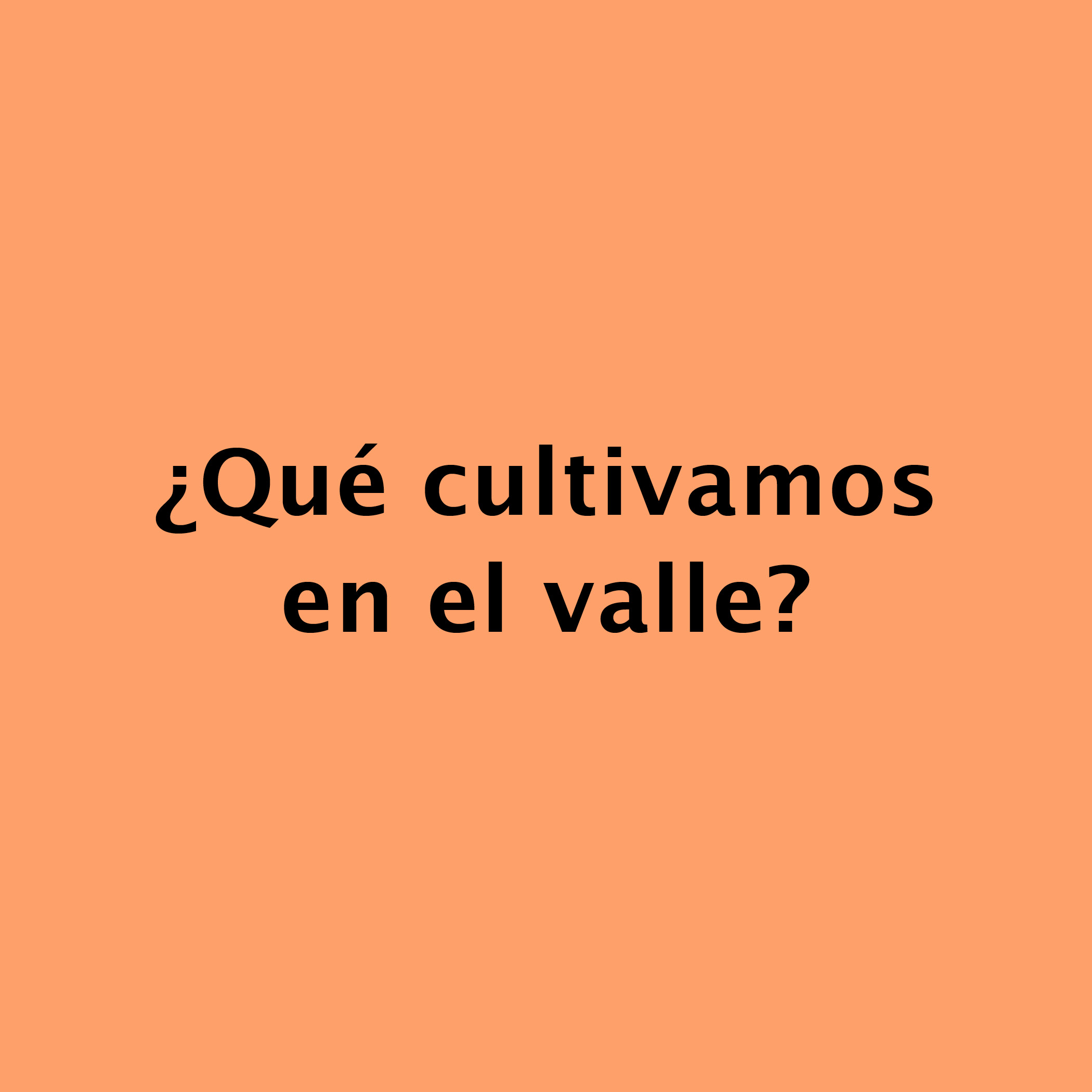 ¿Qué cultivamos en el valle?