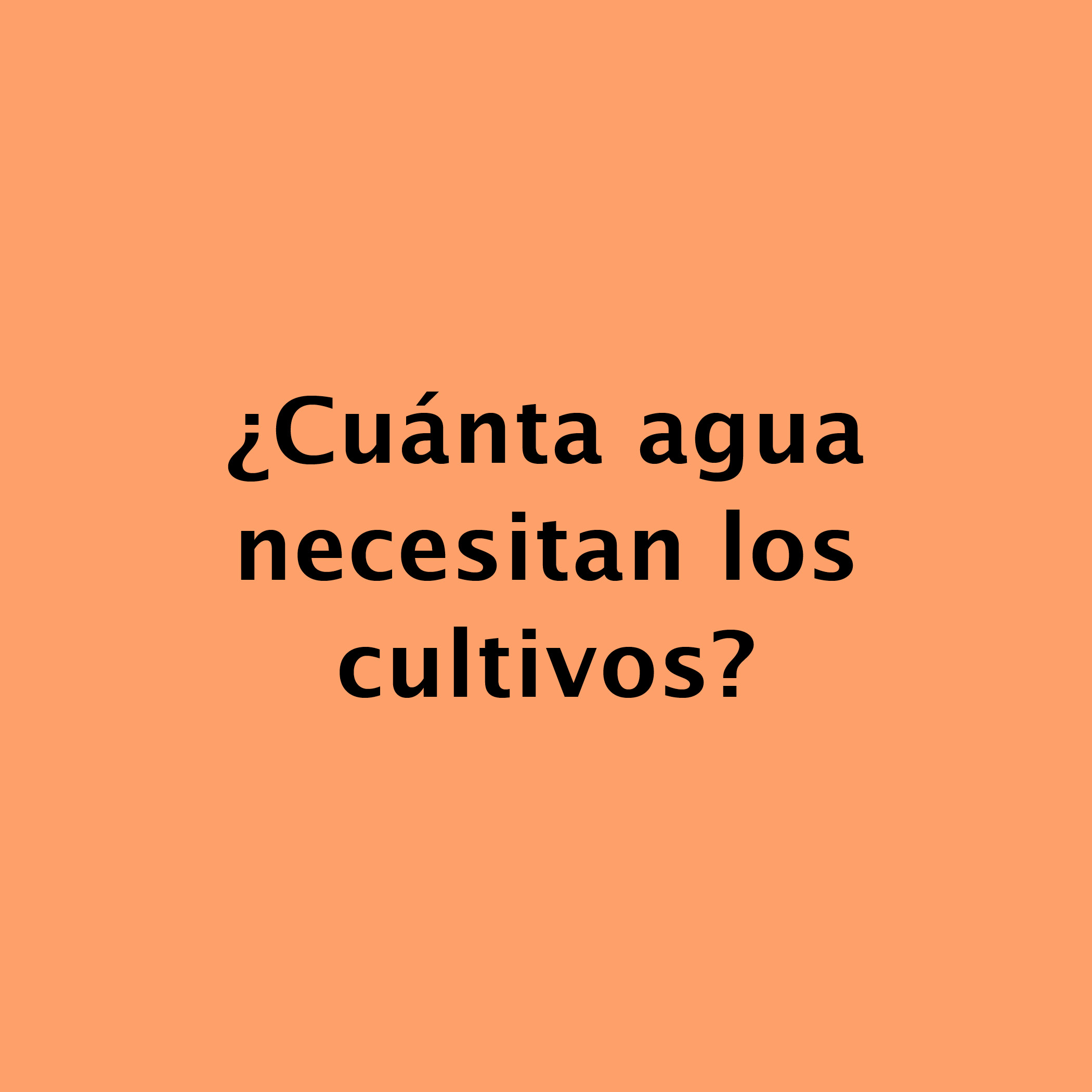 ¿Cuánta agua  necesitan los  cultivos?