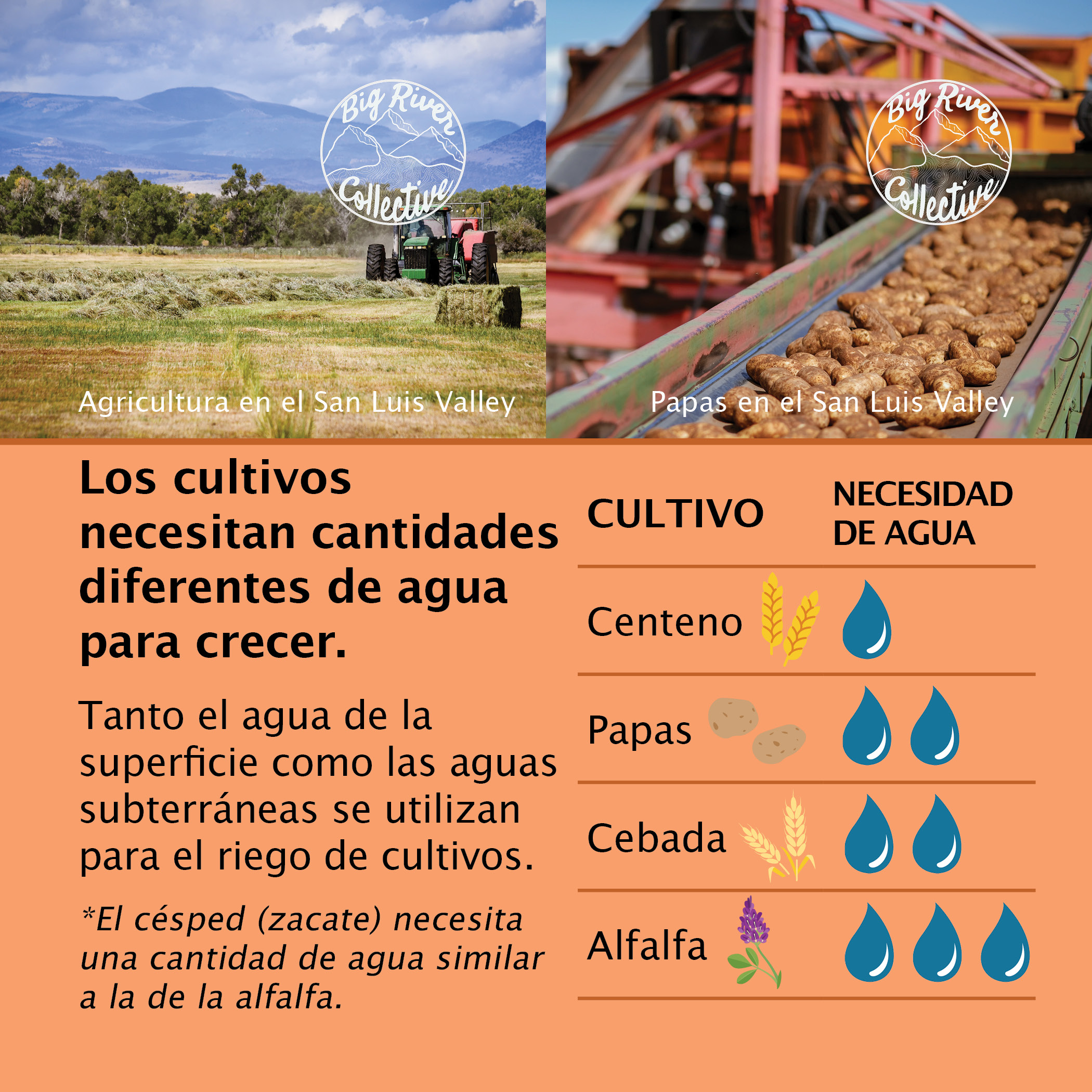 Los cultivos  necesitan cantidades  diferentes de agua  para crecer.