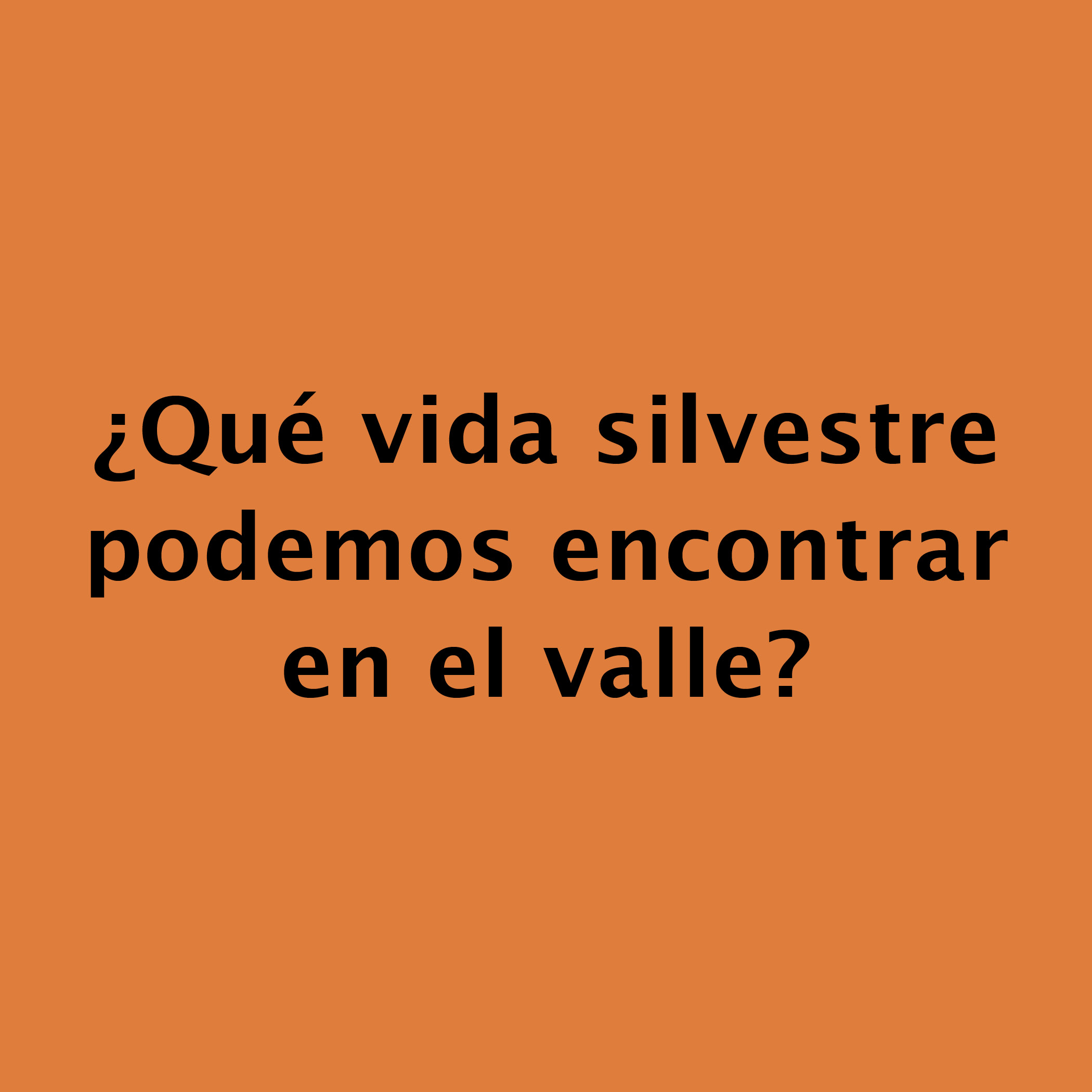 ¿Qué vida silvestre  podemos encontrar  en el valle?